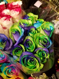 Stew Leonard's Rainbow Roses