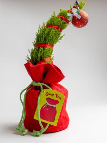 Trader Joe's Gump Tree on a grey sufrace.